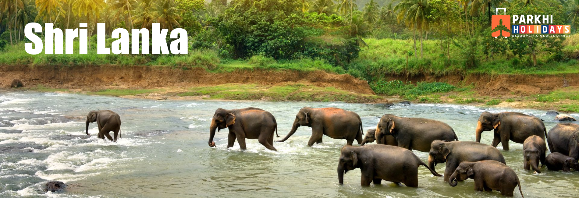 Best travel agency in Pune offering tour packages